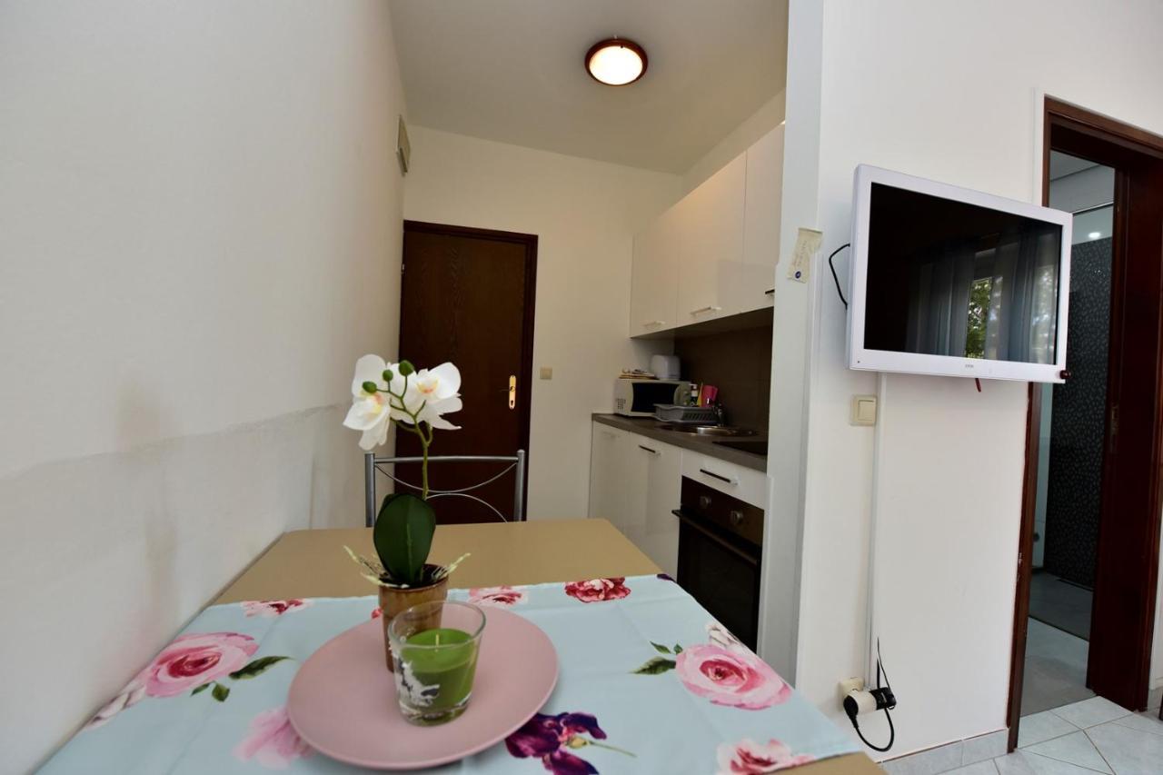 Penzión pre hostí House Anna For Max 13 Persons In Porec, Pet Friendly Porec